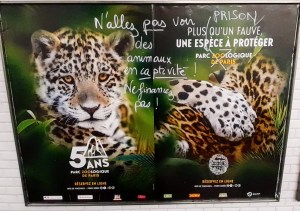 Les parcs zoologiques: refuges ou prisons?