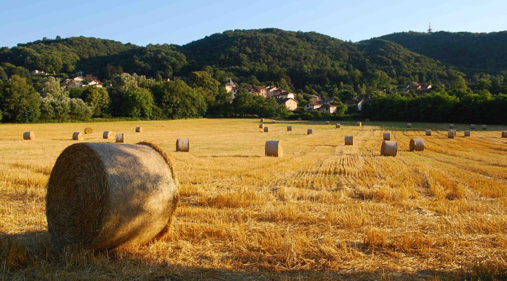 Fallait-il inventer l&rsquo;agriculture?